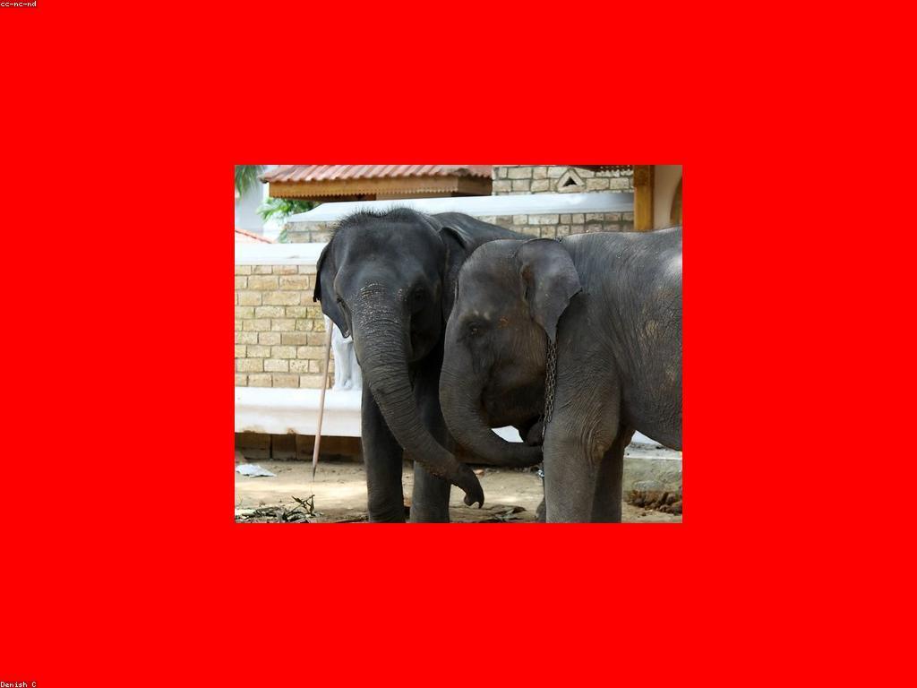 យុទ្ធសាស្ត្រសម្រាប់ការលេងដើម្បីការចូលរួមប្រកួត